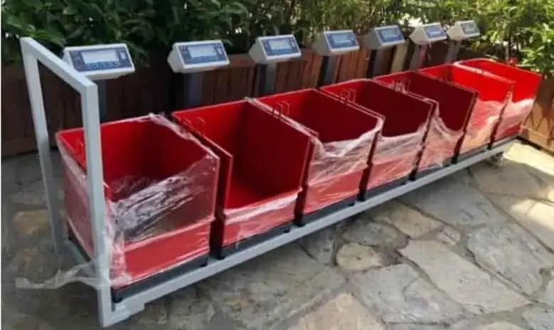 7 Eşit Hisse